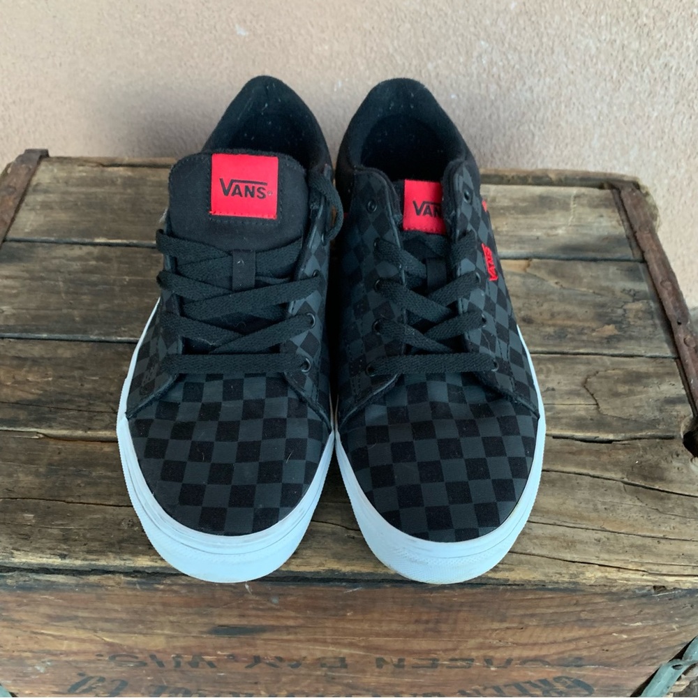Vans Seldan Skate Shoes Gem